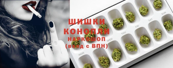 сатива Магадан
