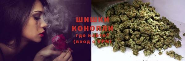 прущие грибы Майский