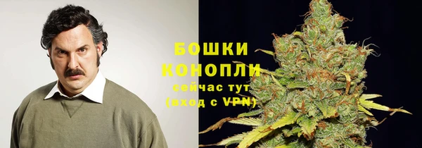 прущие грибы Майский