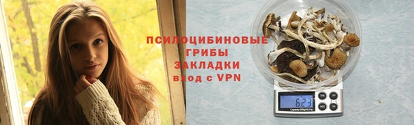 сатива Магадан