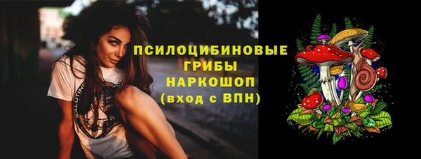 прущие грибы Майский