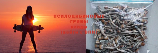 сатива Магадан