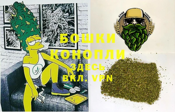 прущие грибы Майский