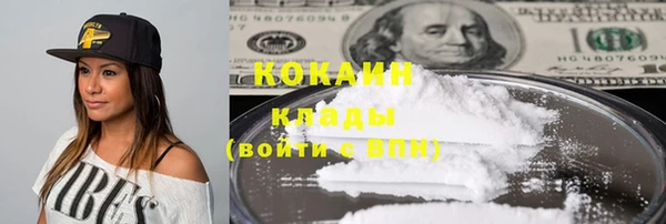 прущие грибы Майский