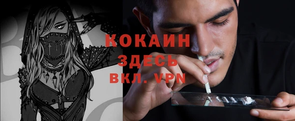 сатива Магадан