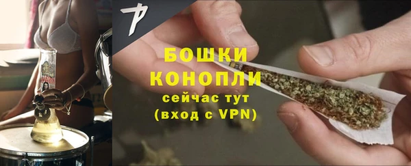 прущие грибы Майский
