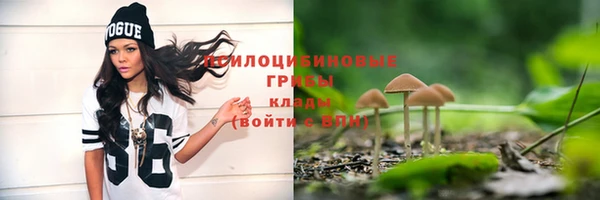 прущие грибы Майский