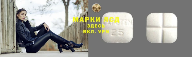 прущие грибы Майский