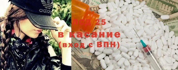 прущие грибы Майский