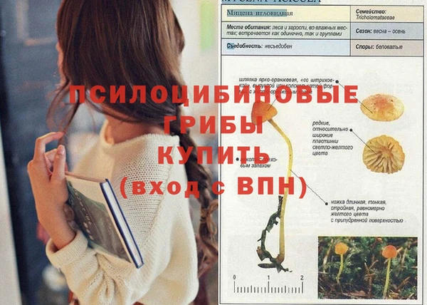 MDMA Premium VHQ Магас