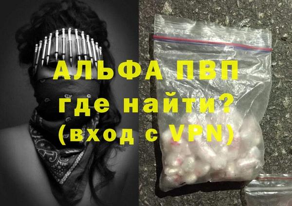 прущие грибы Майский